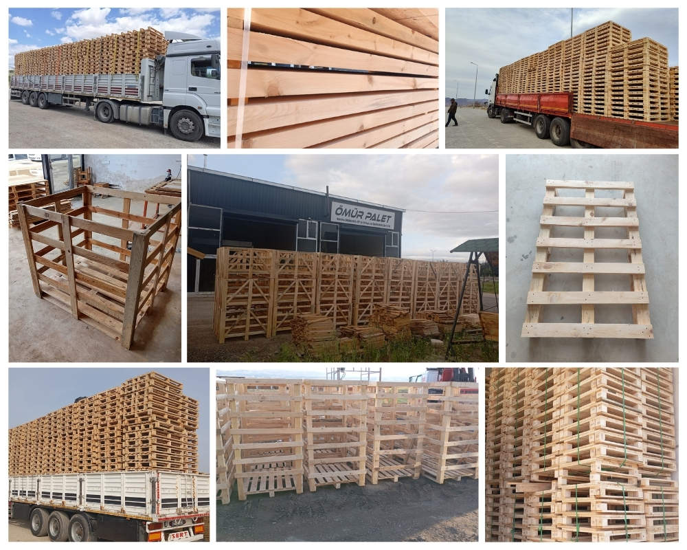 Newton-with-Scales Wooden Pallets, Buy Wooden Pallets Wholesale